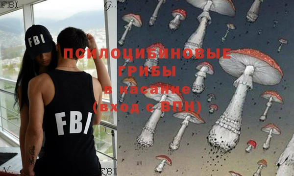 сатива Алексин