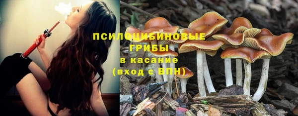 сатива Алексин