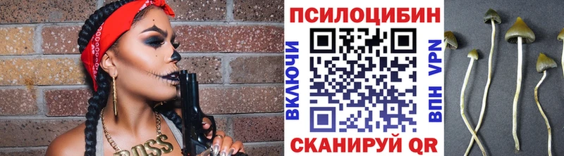 Галлюциногенные грибы GOLDEN TEACHER  Зверево 