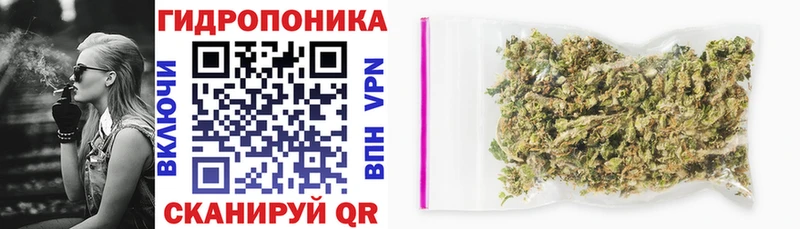 Бошки марихуана ГИДРОПОН  Зверево 